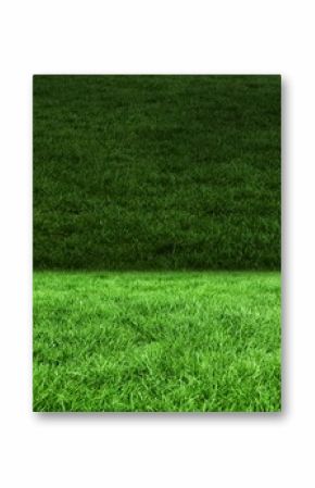 Two shades of green grass