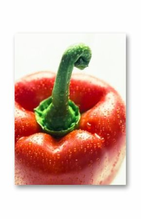 Close-up of fresh red pepper with water drops