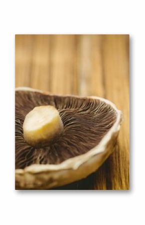 Fresh mushroom on wooden table