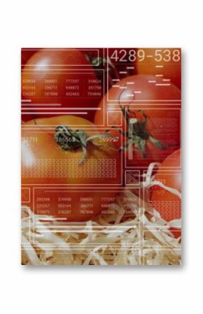 Displaying red vine tomatoes nestling on straw at rustic produce stand, with digital HUD overlays