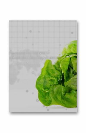 Displaying vibrant green lettuce head at right on white tabletop, with dotted data map, copy space