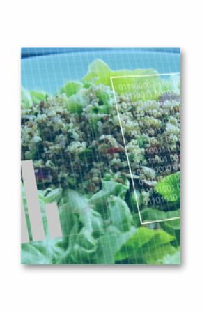 Displaying lettuce salad with grain mix in studio under binary code chart and progress overlays