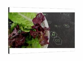 Showcasing white bowl of red and green lettuce in kitchen, with floating eco icons, copy space