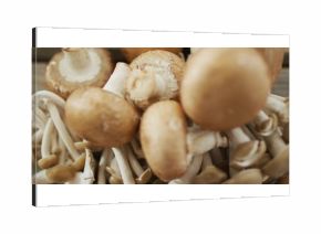 Displaying brown button mushrooms and slender white-stemmed mushrooms on wooden tabletop in kitchen