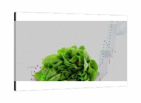 Presenting vibrant butterhead lettuce resting on white set in studio, with financial chart overlay