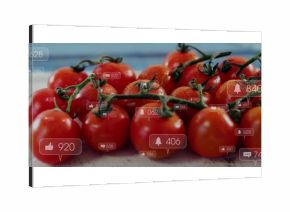 Displaying cluster of red tomatoes glowing on kitchen tabletop, with social media notifications