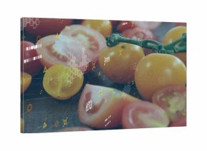 Displaying yellow cherry tomato cluster hanging on green vine at lab bench, with digital overlay