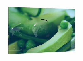 Displaying central pale green vegetable slice balancing bright green pea in stylized data dashboard