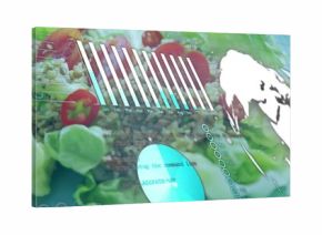 Showing bowl of lettuce and quinoa salad with overlays, bar chart, world map on kitchen surface