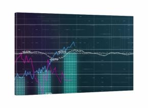 Displaying financial data on screen with colored line graphs and bar charts showing percentages