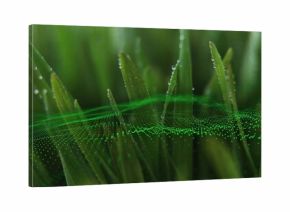Shimmering grass blades glistening with dewdrops in dewy meadow, with floating green particle wave