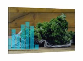Displaying curly-kale on striped-cloth atop wood-table with turquoise-bars-and-red-line, copy space