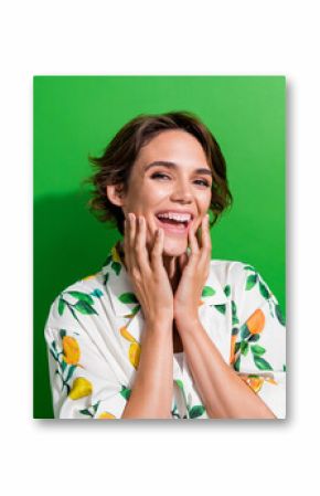 Photo of cheerful adorable girl wear trendy clothes two arms touch cheeks rejoice have fun good mood isolated on green color background