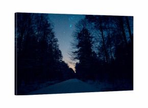 Night sky with stars road forrest