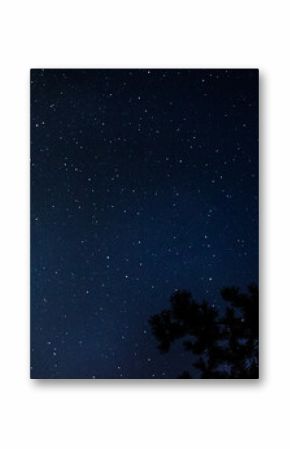 Landscape of night sky with stars 