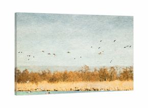 Ilustracja grafika jezioro jasne niebo drzewa i ptaki na horyzoncie.  