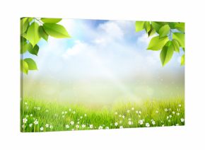 Wiosene tło, widok na trawę, kwiaty oraz na łąkę z pięknym rozmyciem bokeh