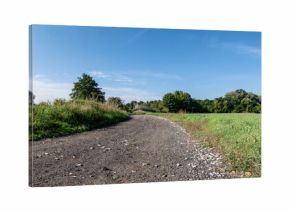 polna droga pośrodku łąk i pól, krajobraz wiejski w rejonie zachodniej polski a w tle zielone drzewa błękitne niebo