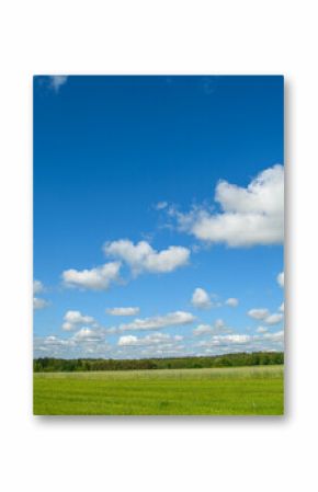 Piękne cumulusy małe chmurki nad polami rzepaku