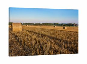 siano na polu, piękny krajobraz, rolnictwo