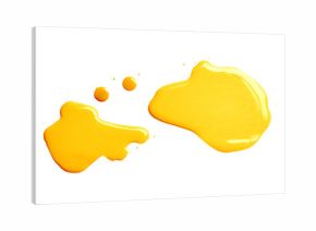 The puddle of a paint spill