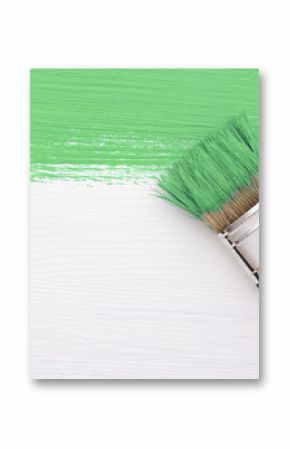 Stripe of green paint with a paintbrush on white