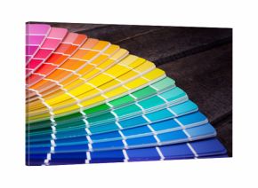 color palette guide of paint samples catalog