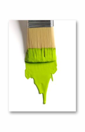 Brush with green paint