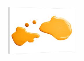 The puddle of a paint spill