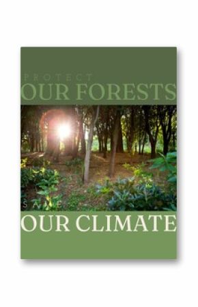 Composite of protect our forests and save our climate text and sun shining through trees in woods