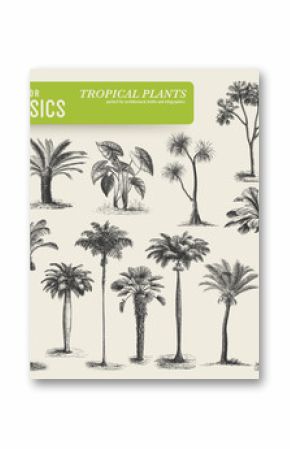 vector elements: tropical vegetation