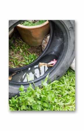 Used tires potentially store stagnant water and mosquitoes breeding ground