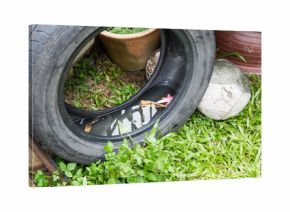Used tires potentially store stagnant water and mosquitoes breeding ground