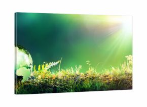 Green Globe On Moss - Environmental Concept  