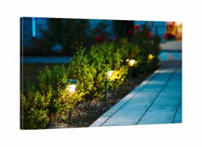 Night View Of Flowerbed With Flowers Illuminated By Energy-Savin
