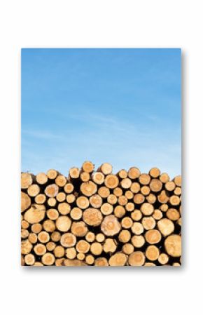 Photo of a pile of natural wooden logs