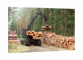 The harvester working in a forest. Harvest of timber. Firewood as a renewable energy source. Agriculture and forestry theme.  