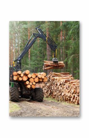 The harvester working in a forest. Harvest of timber. Firewood as a renewable energy source. Agriculture and forestry theme.  