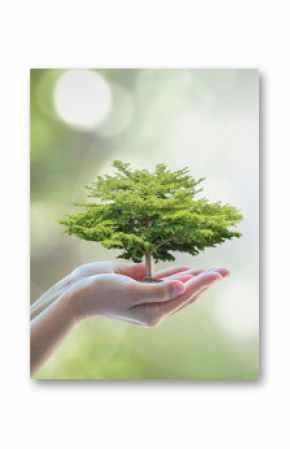 Growing tree to save ecological sustainability, sustainable environment, and corporate social responsibility CSR in nature concept