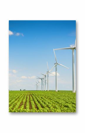 Wind farm and countryside corn field, agriculture industry