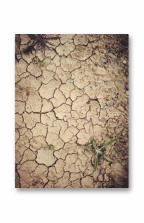 High angle view of dried field