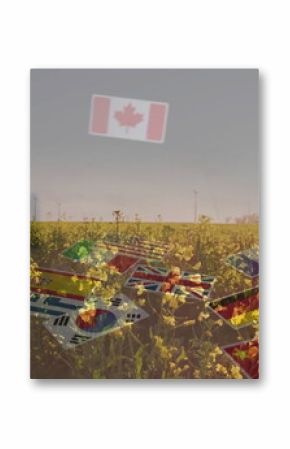 Floating national flags drifting above canola field, with wind turbines and Swedish solar support