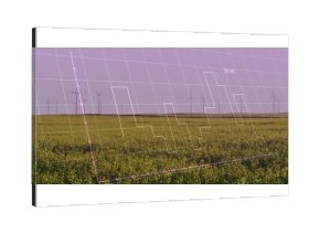 Spanning flowering crop field at wind farm at dusk, with wind turbines, grid and graph overlay