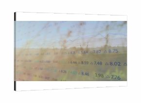 Displaying floating numeric figures and rising line graph over transmission towers in rural field