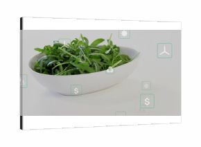 Showcasing white ceramic bowl of green arugula leaves on tabletop, with floating green energy icons