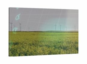 Stretching broad canola field covering farmland, showing wind turbines and teal grid overlay