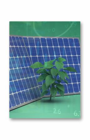 Image of financial data processing over solar panels and plant on green background