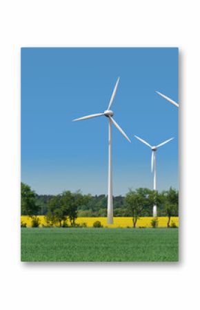 Windkrafträder in einem Rapsfeld hinter einer Allee