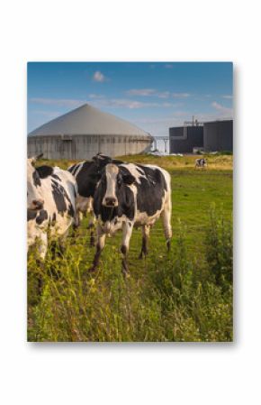 Biogas plant on a farm