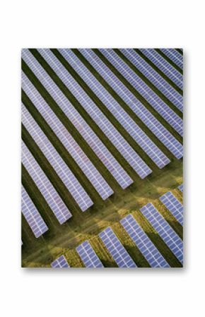 Solar energy farm. High angle, elevated view of solar panels on an energy farm in rural England  full frame background texture.